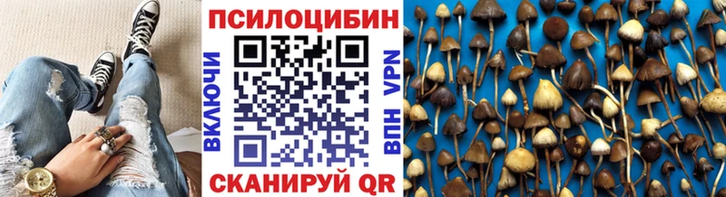 Купить закладки  Калининск  Псилоцибиновые грибы мицелий 
