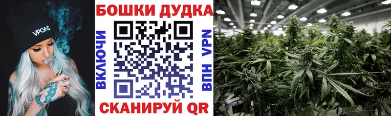 Купить где  Калининск  Бошки марихуана планчик 